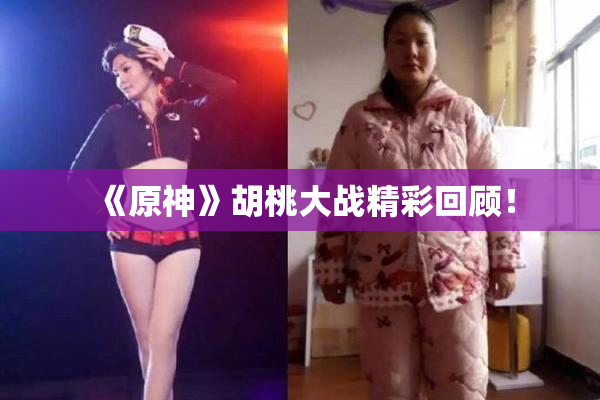 《原神》胡桃大战精彩回顾！