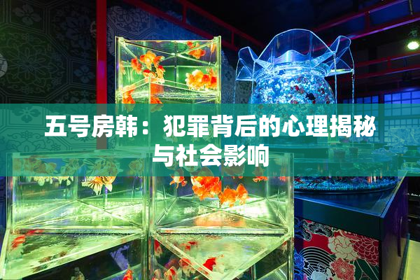 五号房韩：犯罪背后的心理揭秘与社会影响