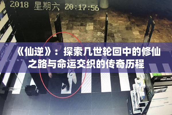 《仙逆》：探索几世轮回中的修仙之路与命运交织的传奇历程