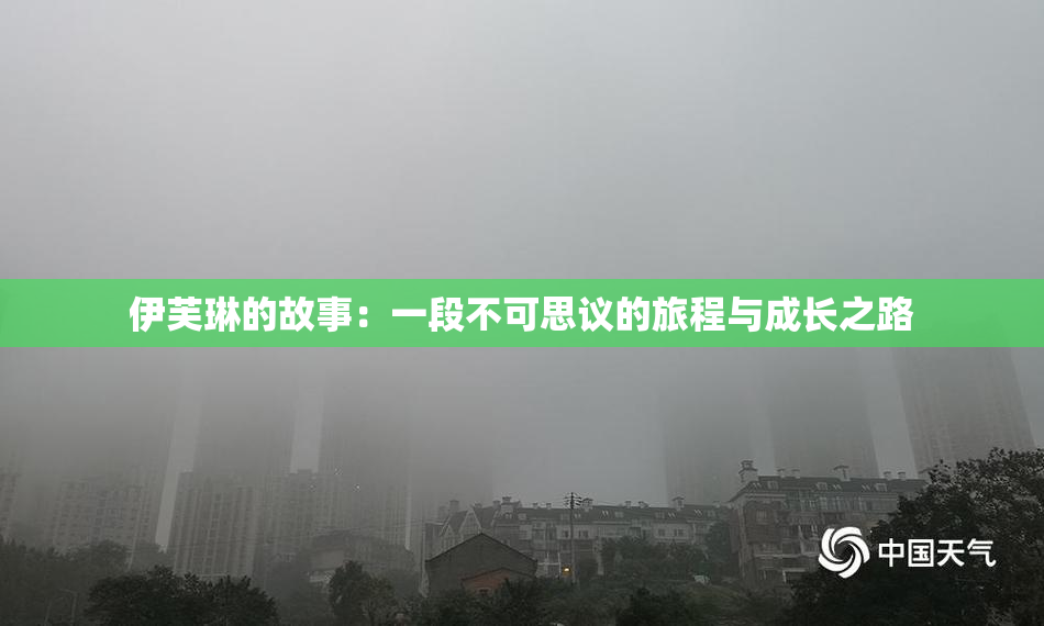 伊芙琳的故事：一段不可思议的旅程与成长之路