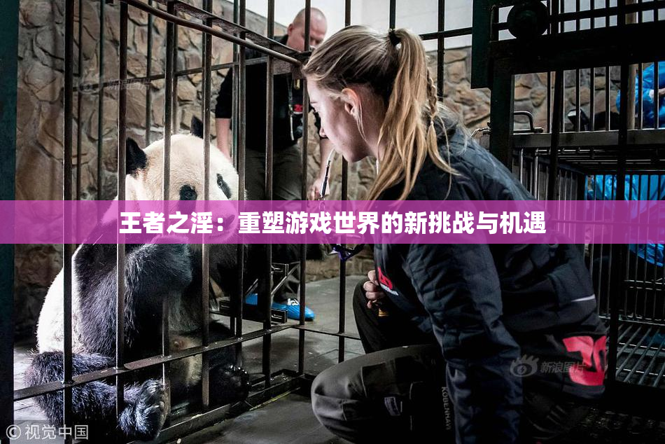 王者之淫：重塑游戏世界的新挑战与机遇