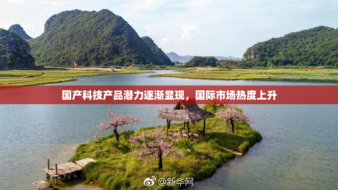国产科技产品潜力逐渐显现，国际市场热度上升