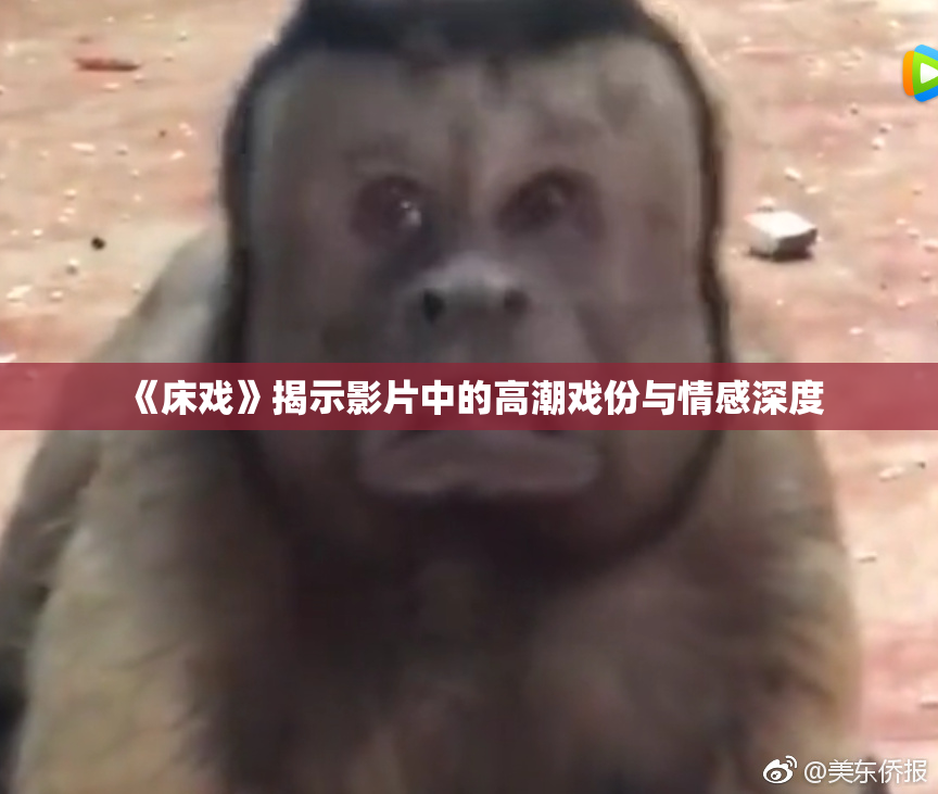 《床戏》揭示影片中的高潮戏份与情感深度