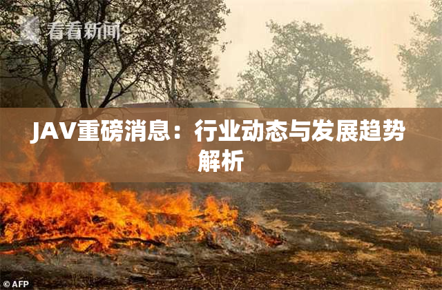 JAV重磅消息：行业动态与发展趋势解析