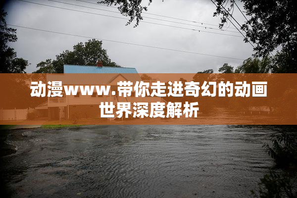 动漫www.带你走进奇幻的动画世界深度解析