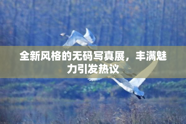 全新风格的无码写真展，丰满魅力引发热议