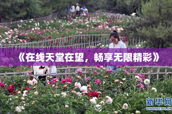 《在线天堂在望，畅享无限精彩》