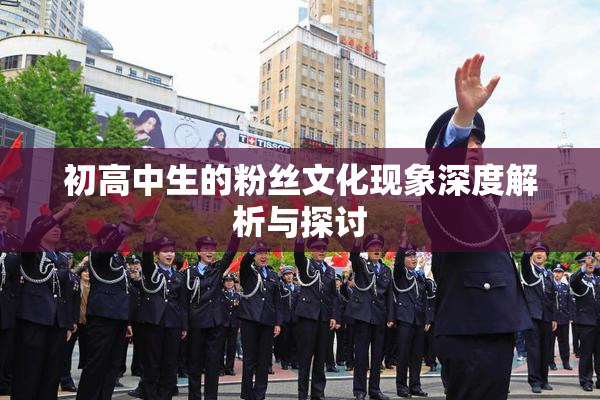 初高中生的粉丝文化现象深度解析与探讨