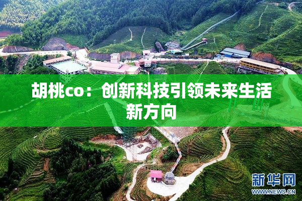 胡桃co：创新科技引领未来生活新方向