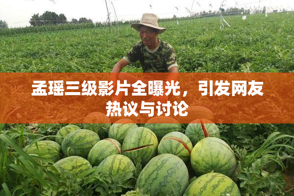 孟瑶三级影片全曝光，引发网友热议与讨论