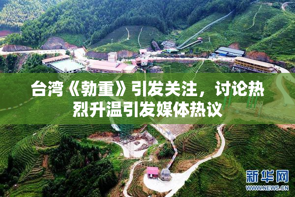 台湾《勃重》引发关注，讨论热烈升温引发媒体热议