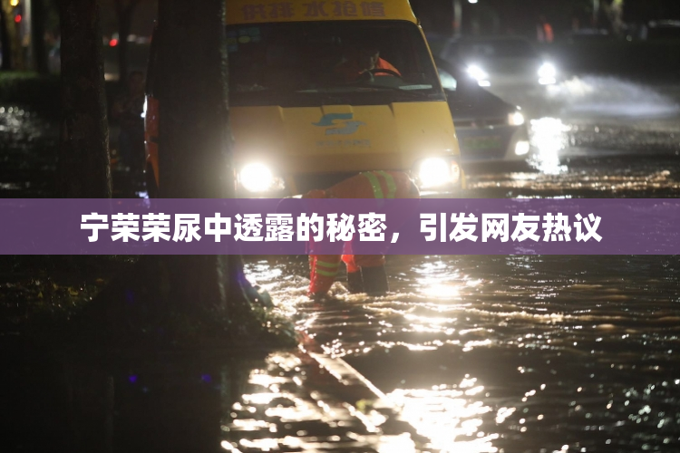 宁荣荣尿中透露的秘密，引发网友热议