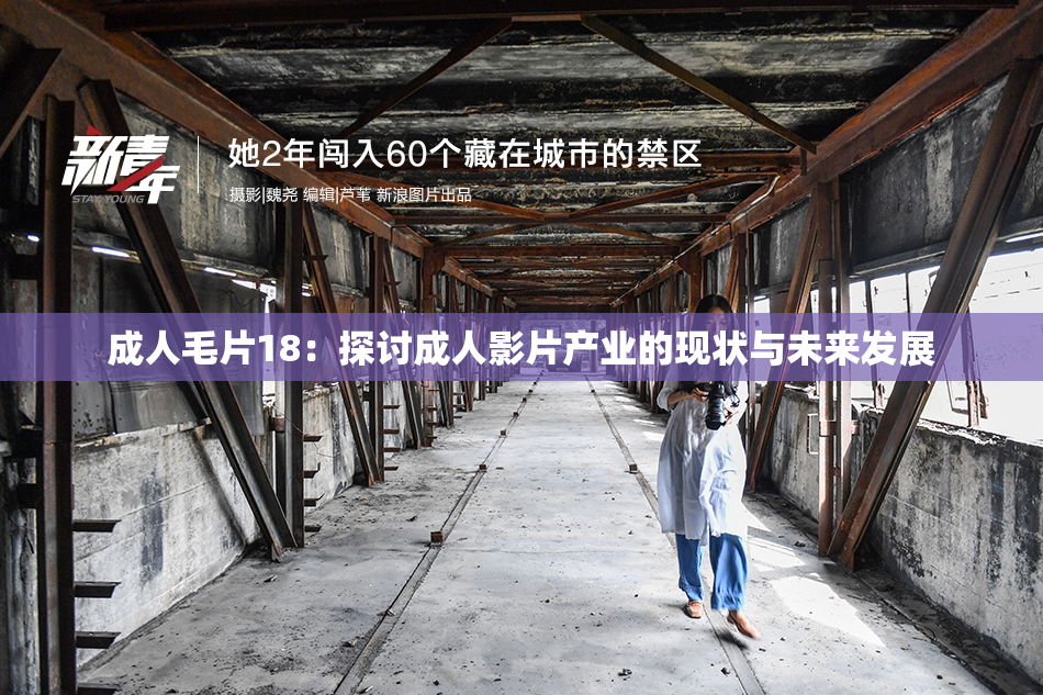 成人毛片18：探讨成人影片产业的现状与未来发展