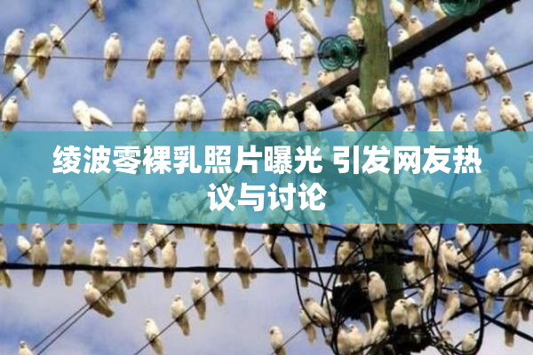 绫波零裸乳照片曝光 引发网友热议与讨论