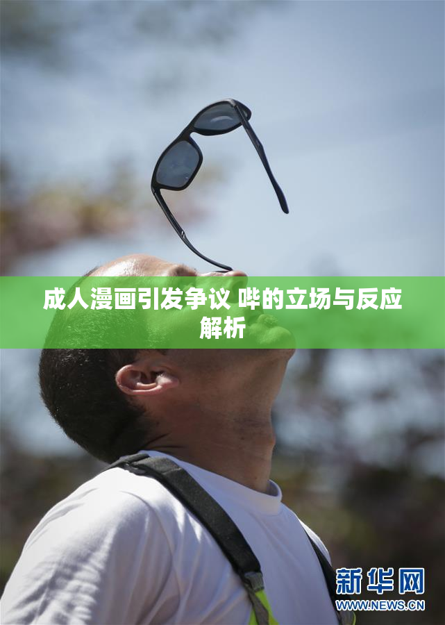 成人漫画引发争议 哔的立场与反应解析
