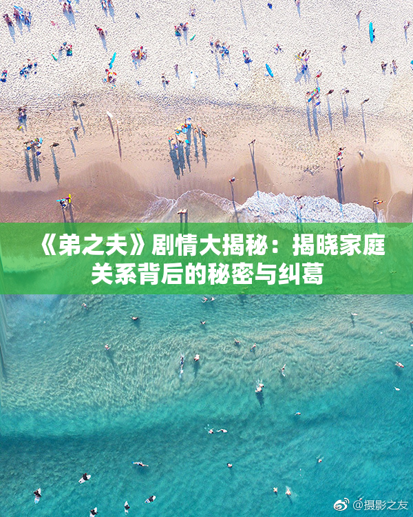 《弟之夫》剧情大揭秘：揭晓家庭关系背后的秘密与纠葛
