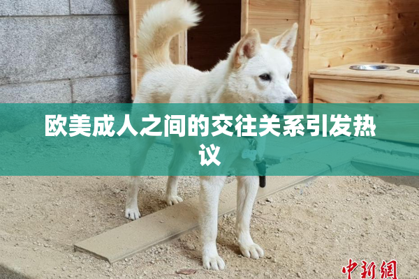 欧美成人之间的交往关系引发热议