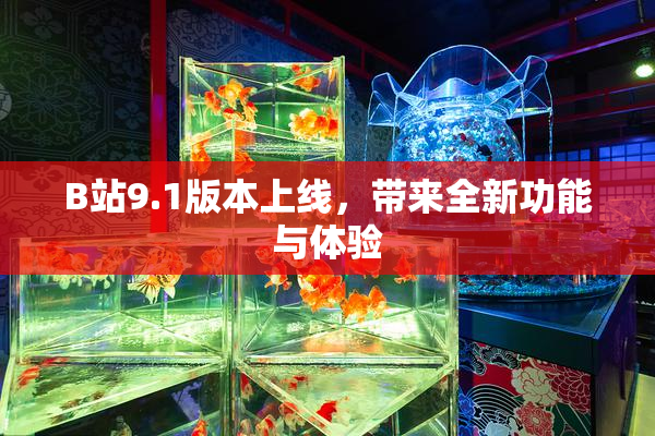 B站9.1版本上线，带来全新功能与体验