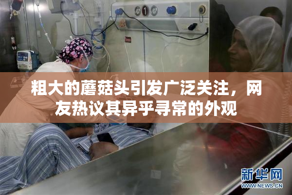 粗大的蘑菇头引发广泛关注，网友热议其异乎寻常的外观
