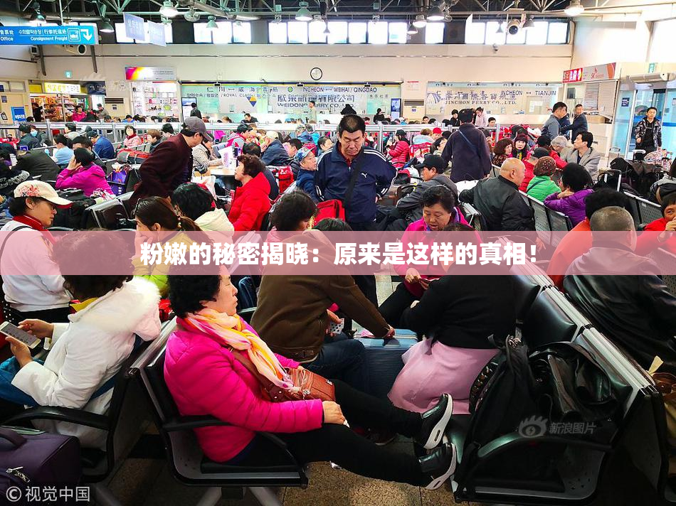 粉嫩的秘密揭晓：原来是这样的真相！