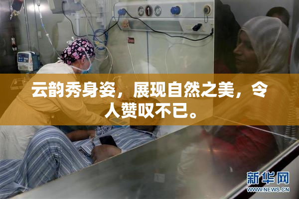云韵秀身姿，展现自然之美，令人赞叹不已。