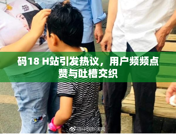 码18 H站引发热议，用户频频点赞与吐槽交织