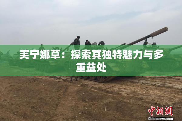 芙宁娜草：探索其独特魅力与多重益处