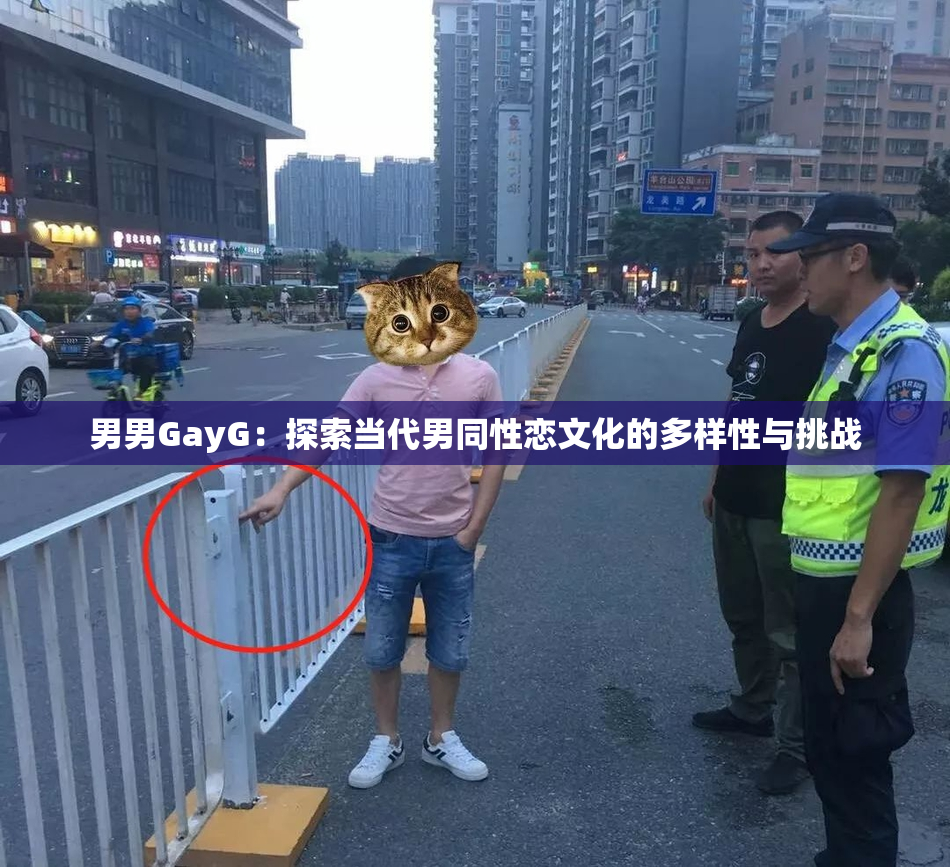 男男GayG：探索当代男同性恋文化的多样性与挑战