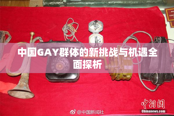 中国GAY群体的新挑战与机遇全面探析