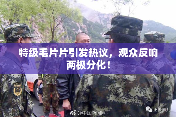 特级毛片片引发热议，观众反响两极分化！