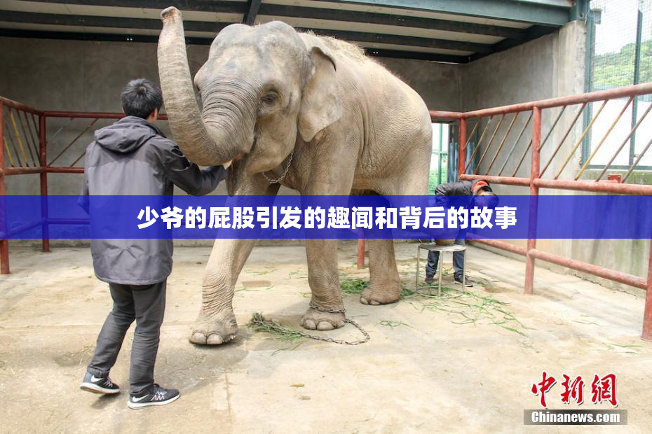少爷的屁股引发的趣闻和背后的故事