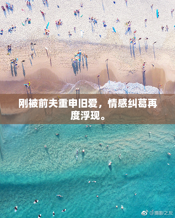 刚被前夫重申旧爱，情感纠葛再度浮现。