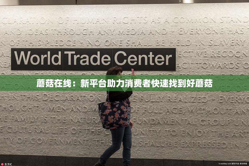 蘑菇在线：新平台助力消费者快速找到好蘑菇