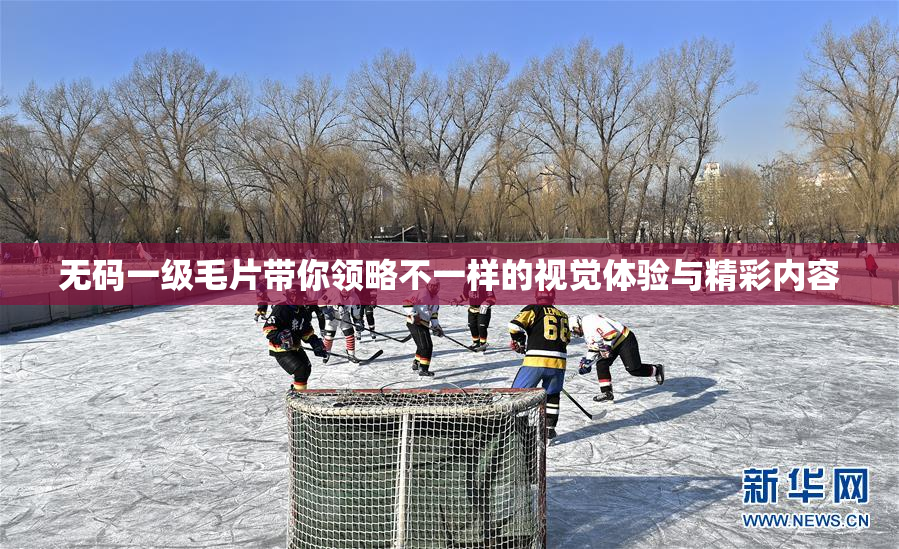 无码一级毛片带你领略不一样的视觉体验与精彩内容