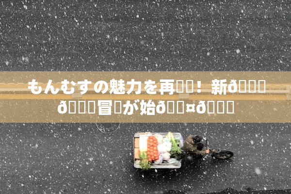 もんむすの魅力を再発見！新👅🍑冒険が始🖤🌃