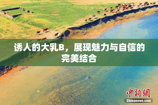 诱人的大乳B，展现魅力与自信的完美结合