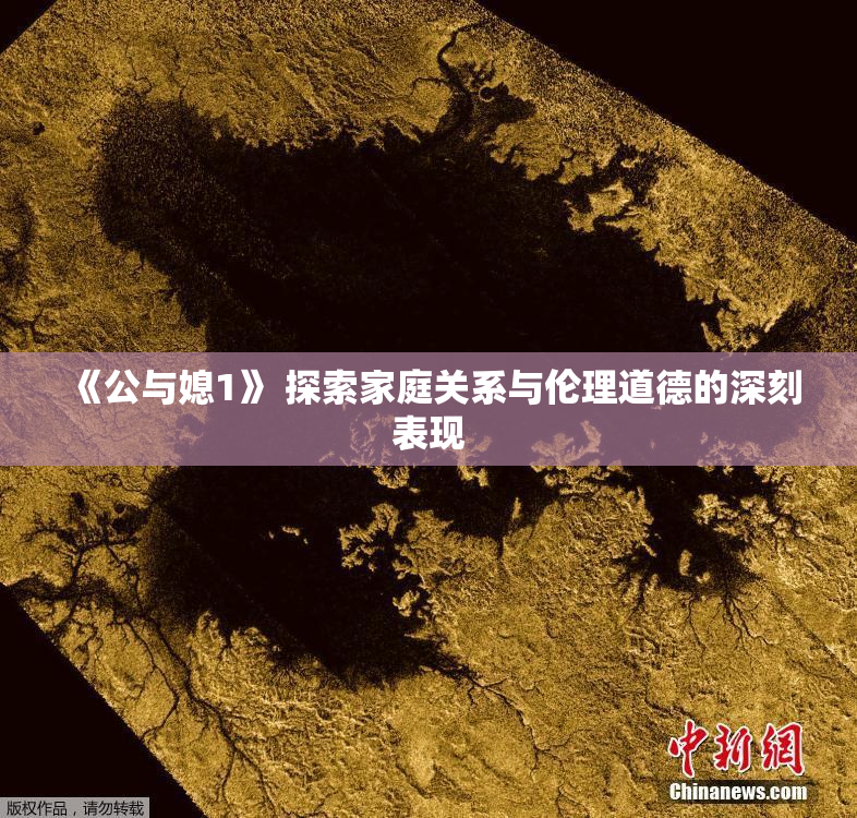 《公与媳1》 探索家庭关系与伦理道德的深刻表现
