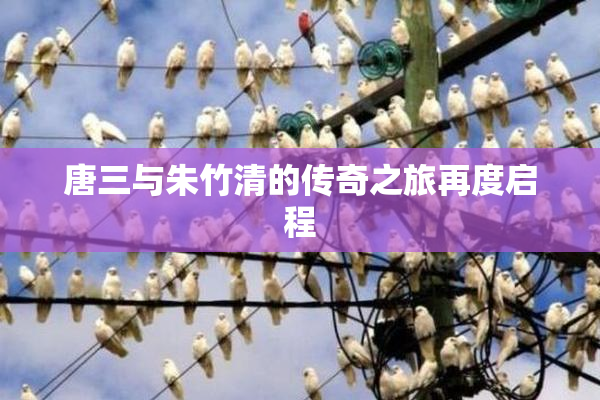 唐三与朱竹清的传奇之旅再度启程