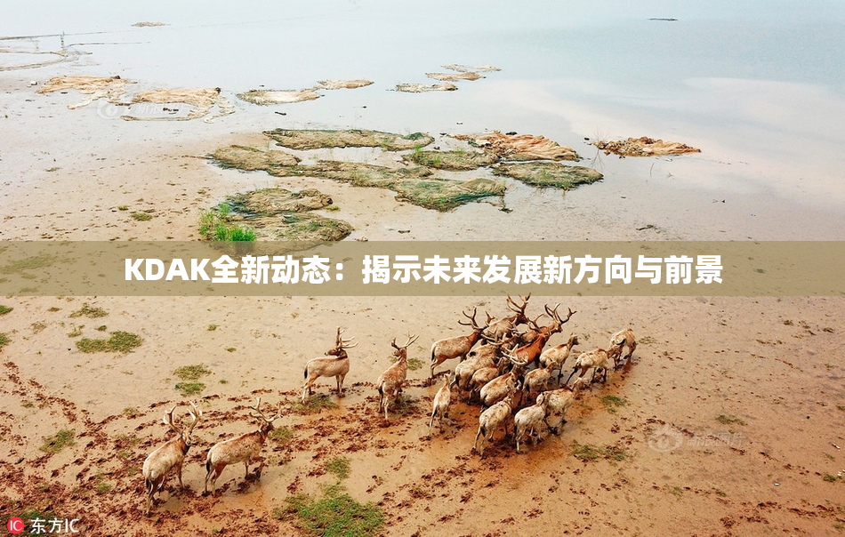KDAK全新动态：揭示未来发展新方向与前景