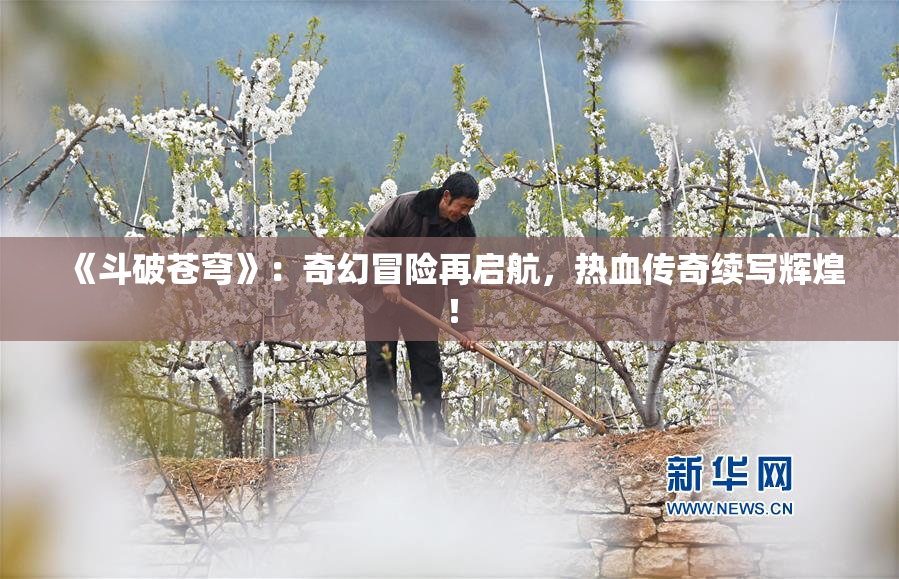 《斗破苍穹》：奇幻冒险再启航，热血传奇续写辉煌！