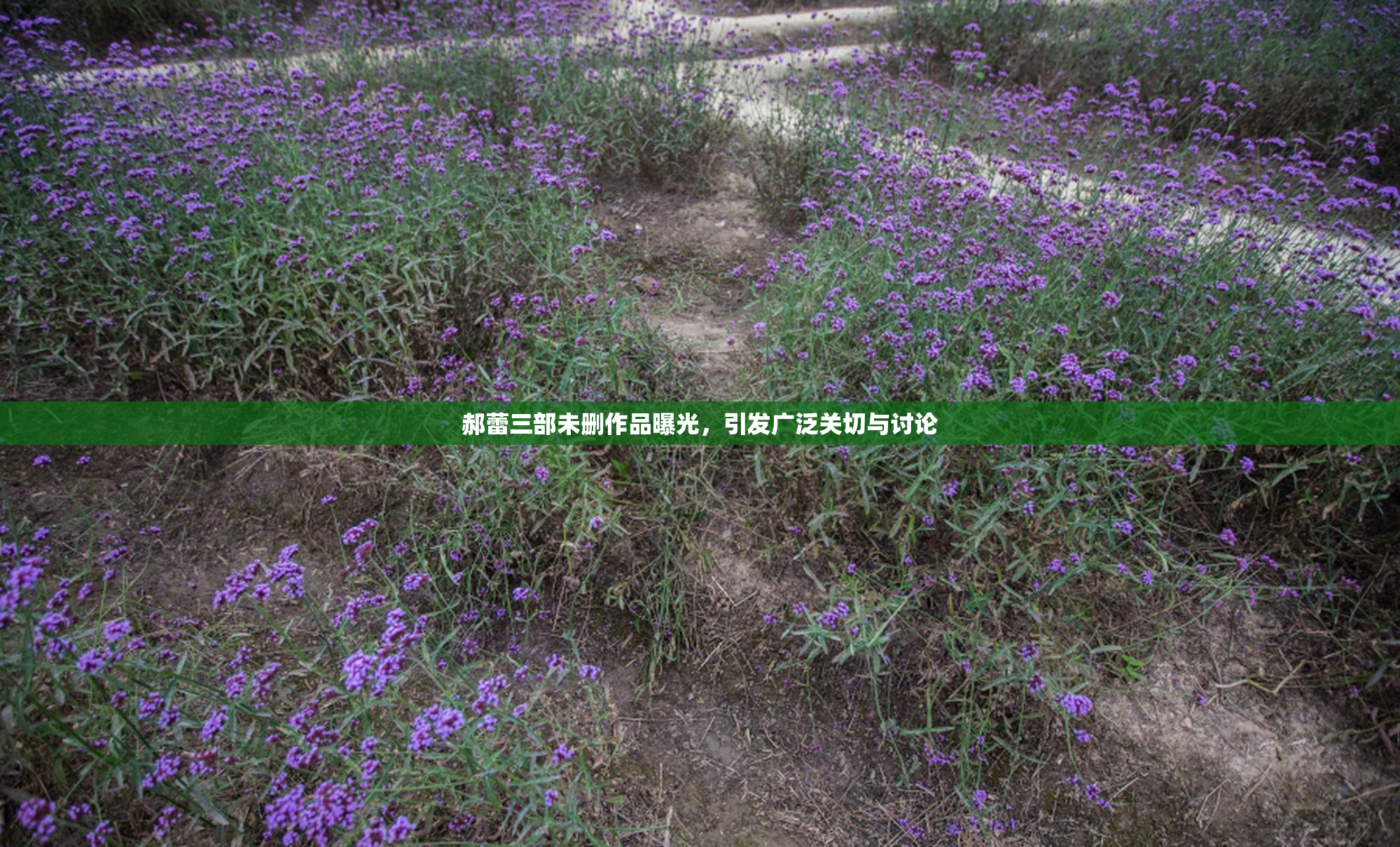 郝蕾三部未删作品曝光，引发广泛关切与讨论