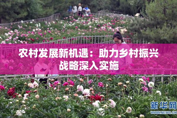 农村发展新机遇：助力乡村振兴战略深入实施