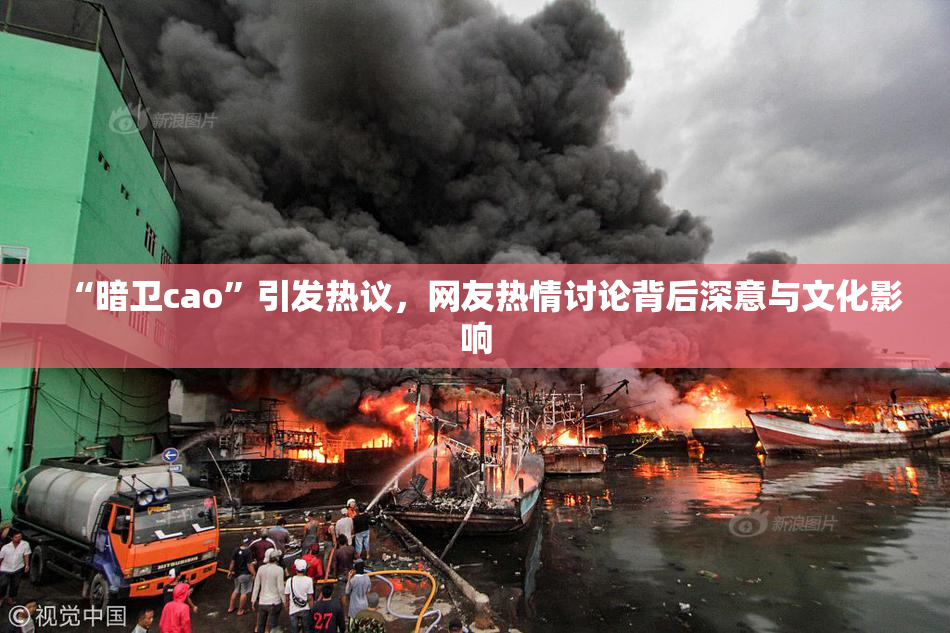 “暗卫cao”引发热议，网友热情讨论背后深意与文化影响