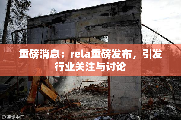 重磅消息：rela重磅发布，引发行业关注与讨论