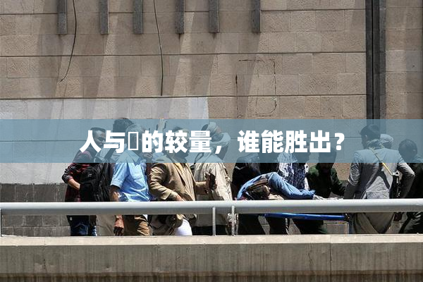 人与嘼的较量，谁能胜出？