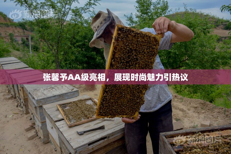 张馨予AA级亮相，展现时尚魅力引热议