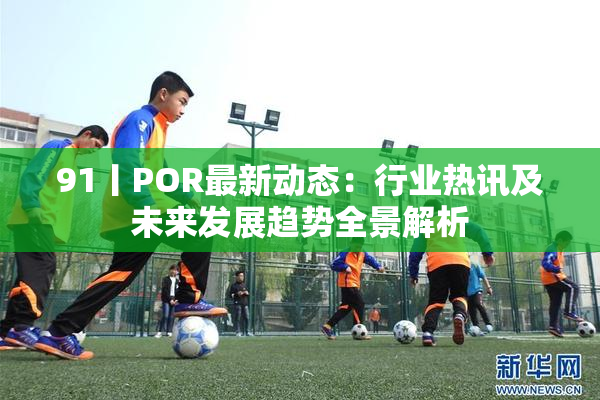 91丨POR最新动态：行业热讯及未来发展趋势全景解析