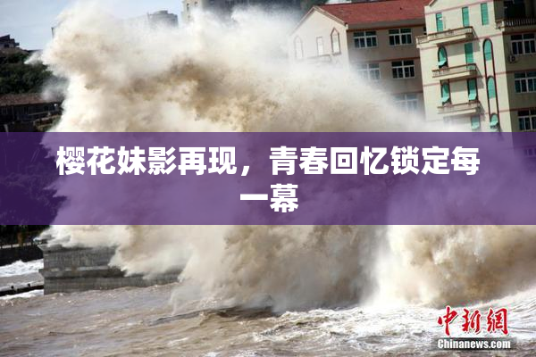 樱花妹影再现，青春回忆锁定每一幕