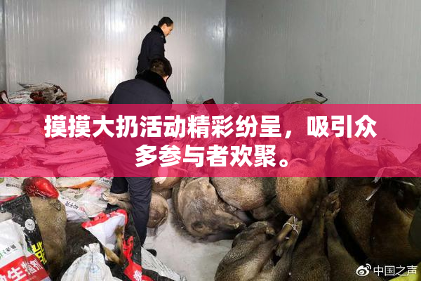 摸摸大扔活动精彩纷呈，吸引众多参与者欢聚。