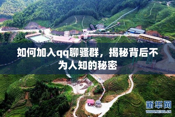 如何加入qq聊骚群，揭秘背后不为人知的秘密